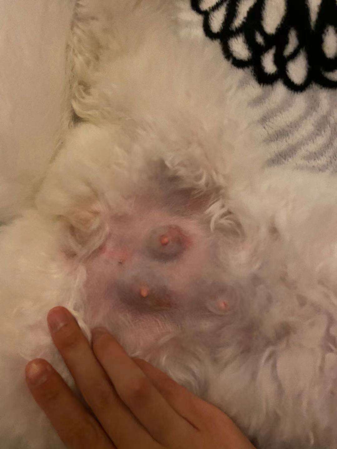 暫無(wú)圖片